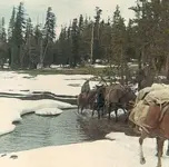 haypress meadows.webp