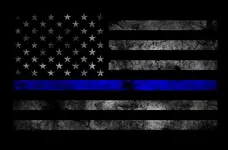 thin_blue_line.webp