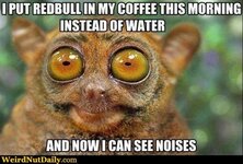 RedBull Coffee.jpg