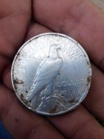 1923 Peace Dollar Find Back.jpg