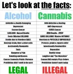 proof_marijuana_is_safer_than_alcohol.webp