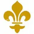 fleur de lis.webp