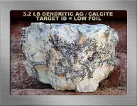 3.2 LB DENDRITIC AG CALCITE SF18YGLOGS.webp