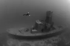 wreck-diving-eilat.webp