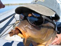 carp-hat-glasses.jpg