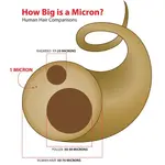 Micron-Illustration.webp