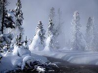 Winter+Scenery+%u0025252831%u00252529.jpg