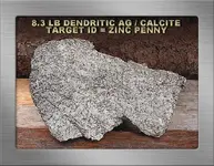 8.3 LB DENDRITIC AG CALCITE SF19YGLOGS.webp