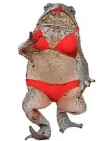 Super_sexy_toad.webp