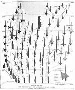 evolution-of-pole-arms.webp