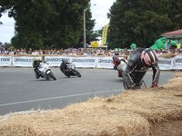 Entry.and.Exit.. .PaeroaRaces.2.2016 041.JPG