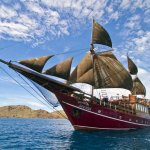 arenui-luxurious-dive-cruise-liveaboard-yacht-in-komodo-banda-island-raja-ampat-indonesia-10.jpg