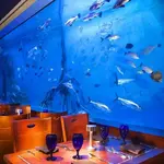 rumfish_grill_fish_tank_experience_in_st_petersburg_clearwater_florida-2.webp