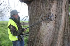 Detecting-tree-outside-South-gate.jpg