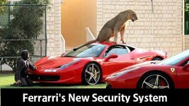 funny-ferrari-s-new-security-system-02.jpg