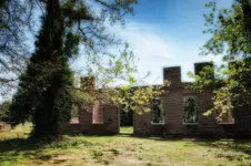 ruins front.webp