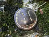 Confederate Cast Infantry Button 9-24-16 -1.webp