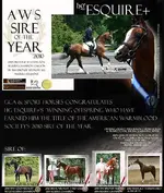 Esquire - AWS Sire of the Year 2010.webp