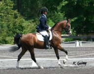 HG Esquire - under saddle.jpg