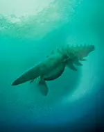 sea-creature_01.webp