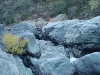 11 6 07 Yuba River 017.webp