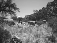 cochise 015 A SMALL.webp