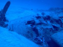 Virgin-Oceanic-Oceangate-Search-for-Florida-Wrecks.jpg