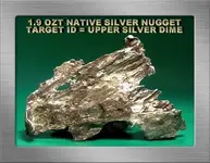 1.9 OZT NATIVE SILVER NUGGET SSFGRNYGDD18.webp