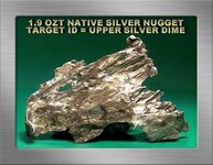 1.9 OZT NATIVE SILVER NUGGET SSFGRNYGDD18.JPG