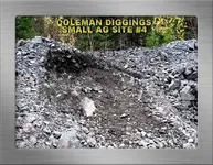 COLEMAN DIGGINGS SITE FOUR SF19YG.webp