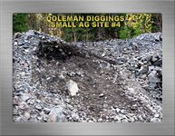 COLEMAN DIGGINGS SITE FOUR SF19YG.JPG