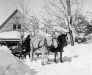 horse drawn sled.jpg