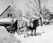 horse drawn sled.webp