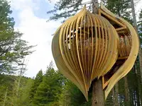 yellow-tree-house3.webp