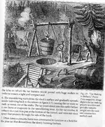 tar pit image.webp