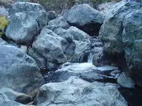 11 6 07 Yuba River 019.webp