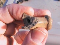 clay pipe stem1.JPG