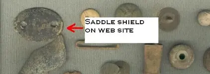 Saddle shield on web.webp