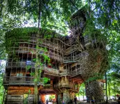 breathtaking-tree-hotel-design-architecture-showcasing-grand-design-plan-with-four-level-deta...webp