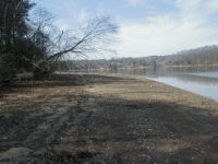 site2.gif