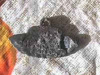 todays finds metal detecting 013.webp