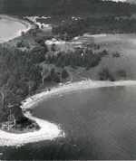 Oak Island - trees 1931.webp