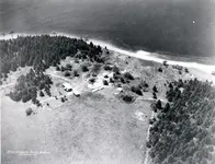 Oak Island - trees 1935.webp