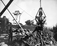 Oak Island - trees early 1900's.webp