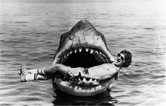 20-weird-sharks-you-had-no-idea-existed.webp