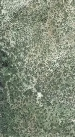 GoogleEarth_Image.webp