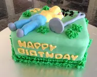 100x100_894025IPPs_metal-detecting-cake.webp