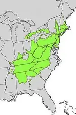 North American Oak...Quercus_prinus_range_map.webp