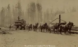 HORSELOGGING1900.webp