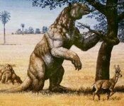 giant-ground-sloth1.jpg